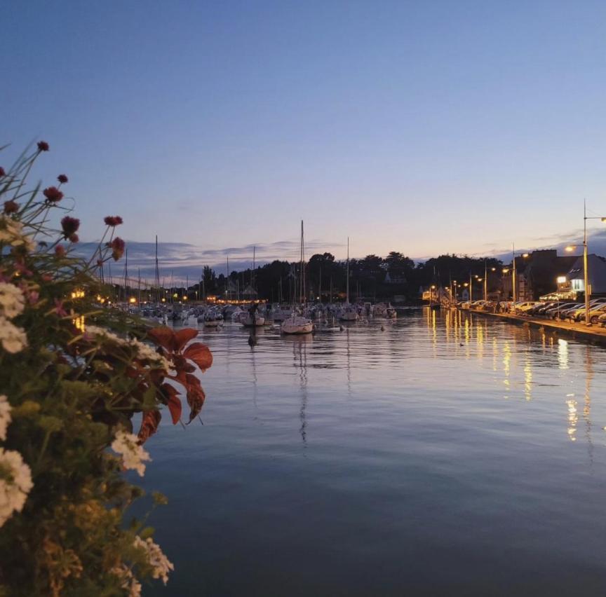 Appart Vue Mer-Au Pied Du Chemin De Randonnee " Bassan" 普朗奎恩诺沃尔 外观 照片